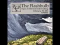 The Flashbulb - Precisely Wrong