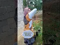 Download Lagu Ngertikan sekarang?? Ngerti dong masa enggak #lucu #shorts #fyp