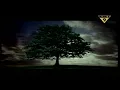 William Orbit - Barber's Adagio For Strings