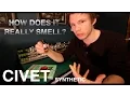 Download Lagu How does it really smell ?