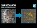 Color Deconvolution Remove Selected Colors from an Image in Amped FIVE