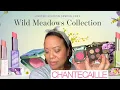 Chantecaille Wild Meadows Collection Spring 2023 - Full Collection