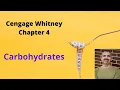 Cengage Whitney Nutrition Chapter 4 Lecture Carbohydrates