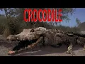 Download Lagu Crocodile (2000) Kill Count