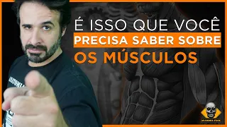 É ISSO QUE VOCÊ PRECISA SABER SOBRE OS MÚSCULOS