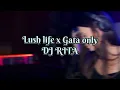 Lagu DJ RITA | LUSH LIFE X GATA ONLY