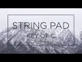 STRING PAD KEY OF C Am for Backing Track