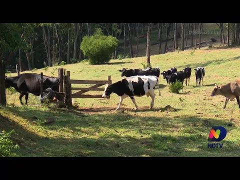 Santa Catarina conta com programa para estimular iniciativas inovadoras na agricultura
