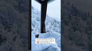 حالات واتس اب شتوية شتاء هطول ثلوج تغذية بصرية تلاوة قرآنية القارئ إسلام صبحي 