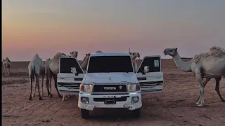 ميحد حمد الايام غداره 