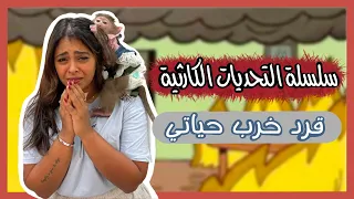 أتحدوني أعيش مع قرد يوم كامل 