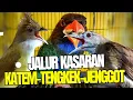 Download Lagu JALUR KASARAN || KAPAS TEMBAK VS CUCAK JENGGOT - TENGKEK  || BESETAN PANJANG NEMBAK KASAR PANJANG