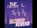 Amr Diab – Ya Ana Ya La (Slowed + Reverb + Lofi Arabic Vibe)