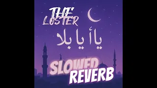                                                              دندنها