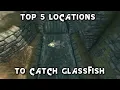 The Top 5 Places To Catch Glassfish In Skyrim