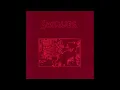 Didn't Understand (7", Single) - Swirlies 1991