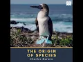 Origin of Species - Charles Darwin