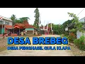 Download Lagu Menelusuri Desa Brebeg: Jejak Gula Kelapa dan Kehangatan Pedesaan Jeruklegi Kulon