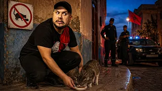 غرامة و الحبس لمن يطعم القطط في الشارع !!