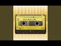 Download Lagu Diana (DJ Schwedes Electro Clubmix)