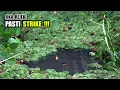 Download Lagu Yakinlah!!! Spot mancing seindah ini siapapun ingin mencobanya #SG-263