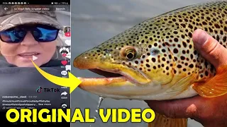 Brown Trout Woman Trout Woman Original Brown Trout Fish Trout Lady Reddit