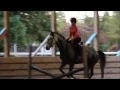 Alisha Newton ft Horses