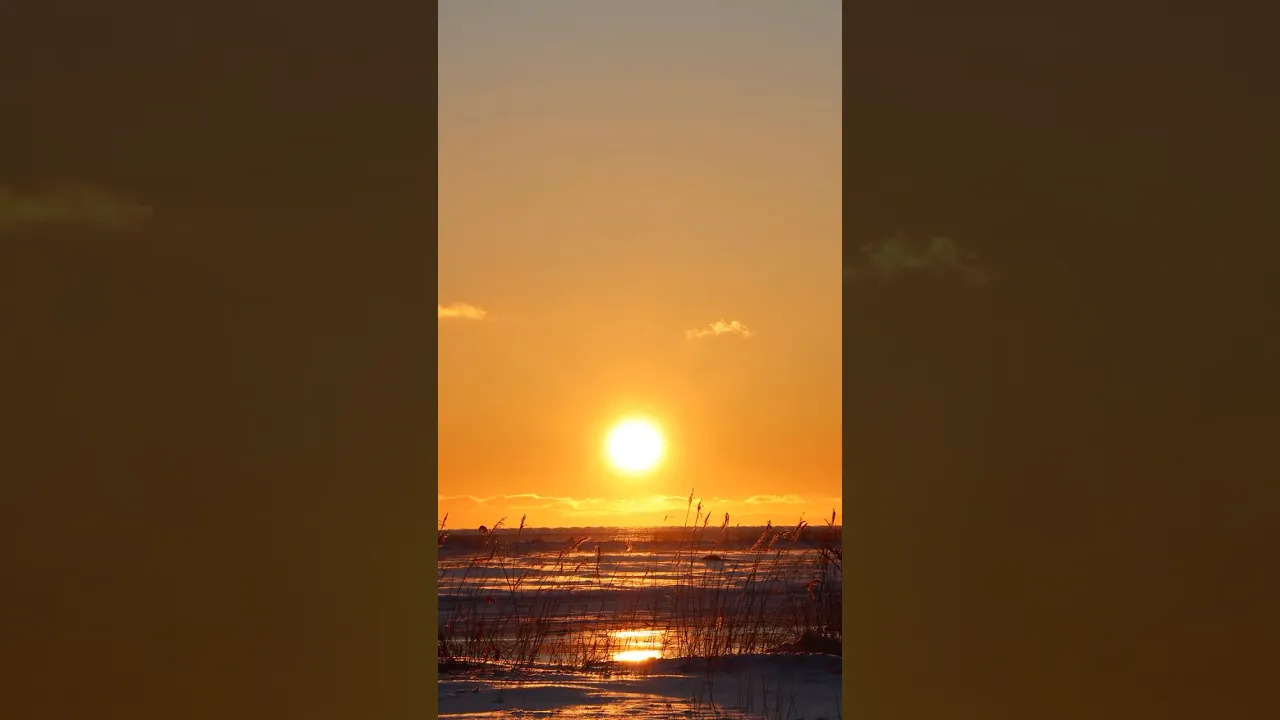 日の出が美しすぎた・・・！#旅行Vlog #北海道