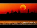 I Love You - Omer Faruk Tekbilek