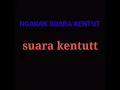 Download Lagu Suara kentut 😁