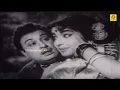 Download Lagu Enakkum Unakkum Thaan Porutham (Tamil) |  Muharasi | #MGR | #Jayalalitha | TMS | P Susheela