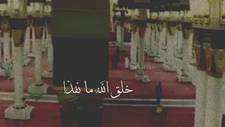 حبيك يا خير خلق الله ما نفذا  رسول الله دندنها