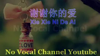 Download Xie Xie Ni De Ai ( 谢谢你的爱 ) Male Karaoke mandarin - No Vocal MP3