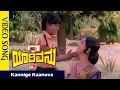 Lagu Kannige Kaanuva Video Song  | YarivanuKannada Movie Songs | Rajkumar | RoopaDevi| Vega Music