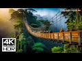 Download Lagu UNBELIEVABLE 4K 120fps HDR Video - Dolby Vision (8K / 4K TV)