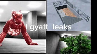 Gyatt leaks