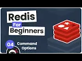 Redis Tutorial for Beginners - Command Options