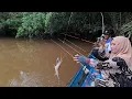 Download Lagu Satu Spot banyak udang galahnya,kali ini saya benar-benar kalah telak  😊