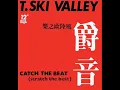 T Ski Valley   Catch The Beat Scratch The Beat
