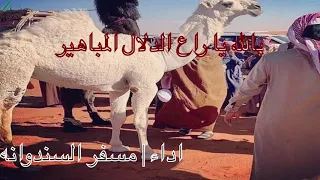 شيلة بالله يا راع الدلال المباهير ٢٠١٩ اداء مسفر السندوانه 