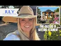 Download Lagu July Back Garden Tour and Gazebo Staining! 🌻 A Garden of Abundance!