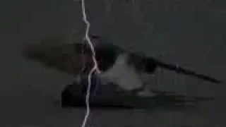مصطفى كامل وهشام الجخ دندنها