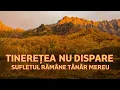 Lagu 🎶 Tinerețea nu dispare – Cântec pentru sufletul care nu îmbătrânește