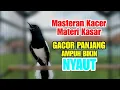 Lagu suara kacer gacor NGEPLONG tarung ini paling AMPUH buat PANCINGAN KACER agar EMOSI NYAUT