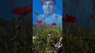 محمد عارف الجزراوي استرانا بابي فخري 