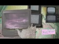 Dead Girls - Penelope Scott