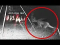 THE CHUPACABRA FILES FROM THE BEYOND