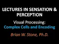 Sensation and Perception - Visual Processing Pt2
