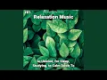 Distinctively Relaxation Music