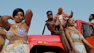 rayvanny ft patoranking zlatan u0026 diamond platnumz tetema remix official video 
